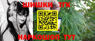 стафф Камышлов