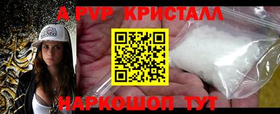 стафф Камышлов