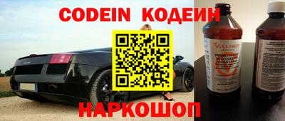 стафф Камышлов