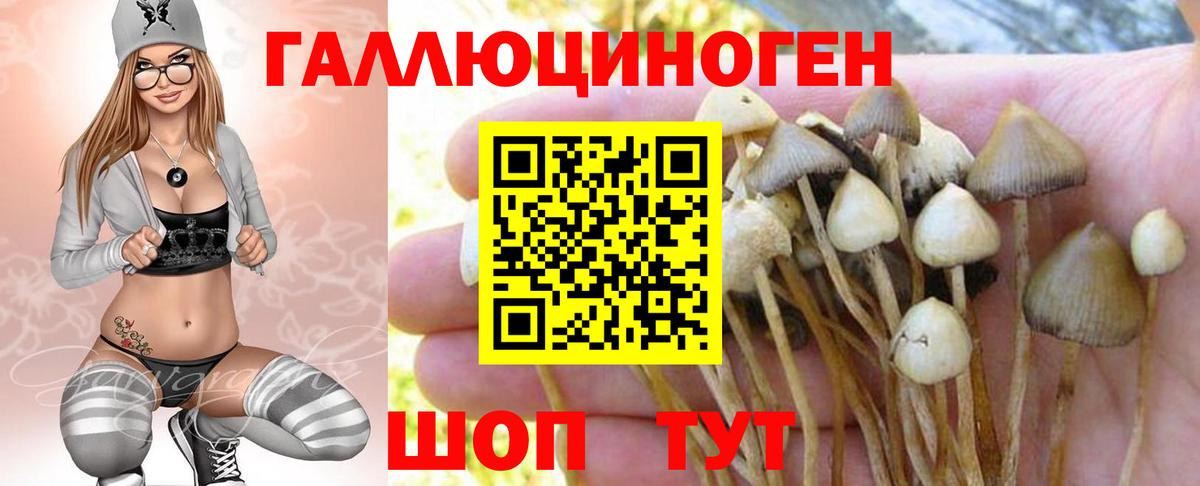 Псилоцибиновые грибы мухоморы Вичуга